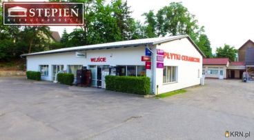 Jelenia Góra - 336.50m2