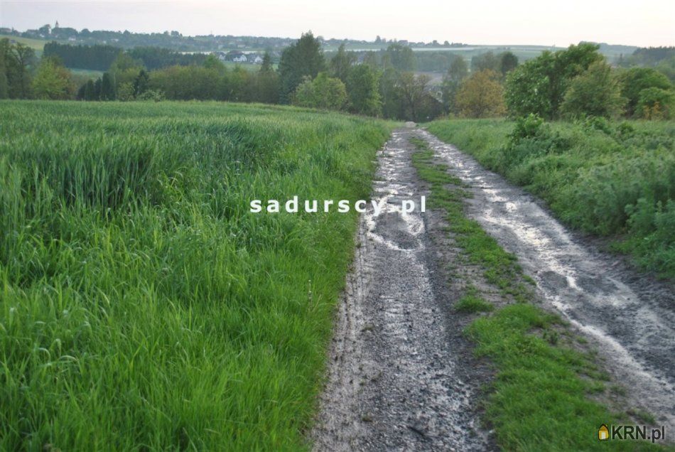 Dąbrowa - -1.00m2 - 
