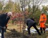 Park Rozwoju: Planting Trees