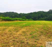 Chorowice - -1.00m2