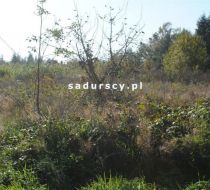 Kraków - Solówki - -1.00m2