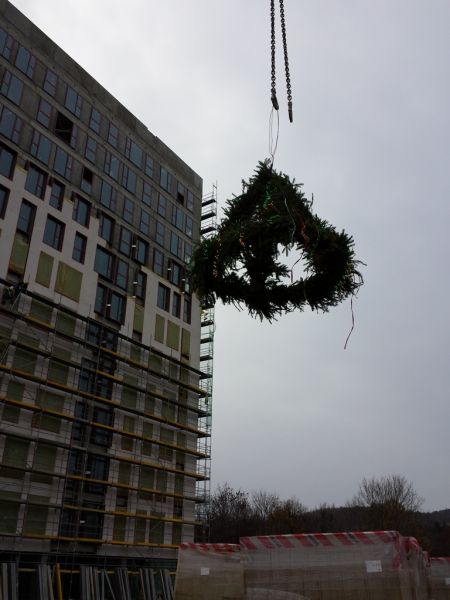  - Placing of the perch on the Gdańsk's office building