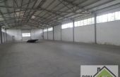 Zielona Góra - , 840.00m2
