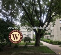 Warszawa - J. Kochanowskiego - 47.50m2