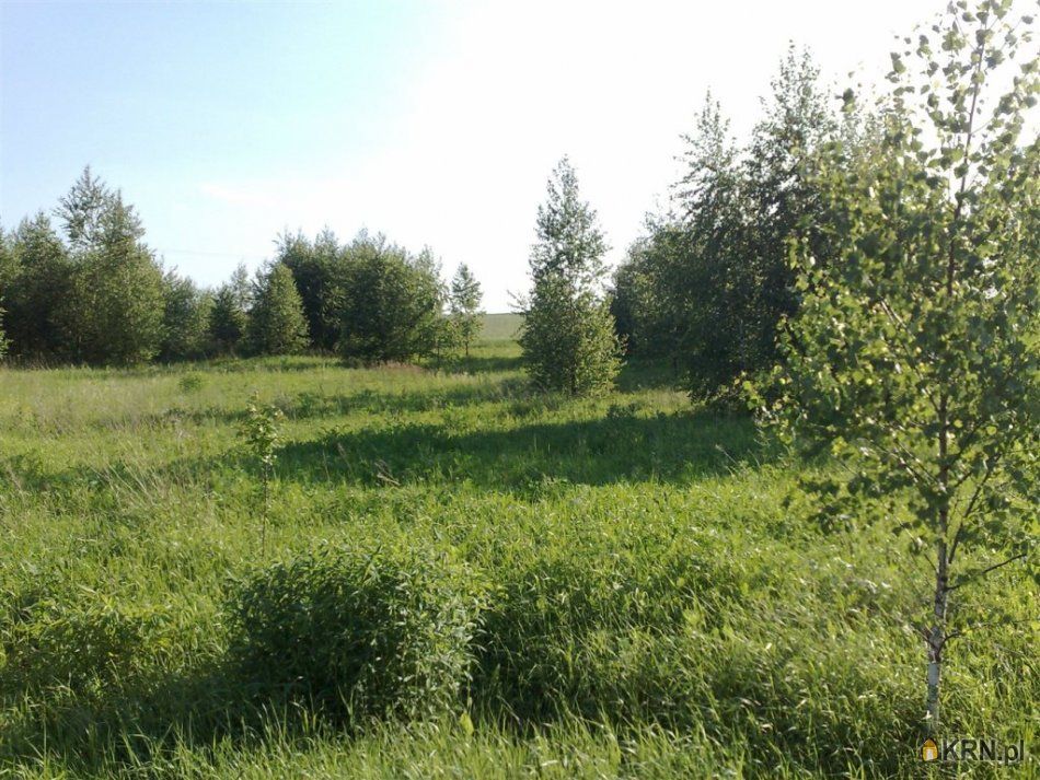 Przyborowo - -1.00m2 - 