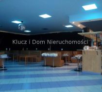 Góra Kalwaria - 21000.00m2