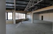 Pruszków - 1500.00m2
