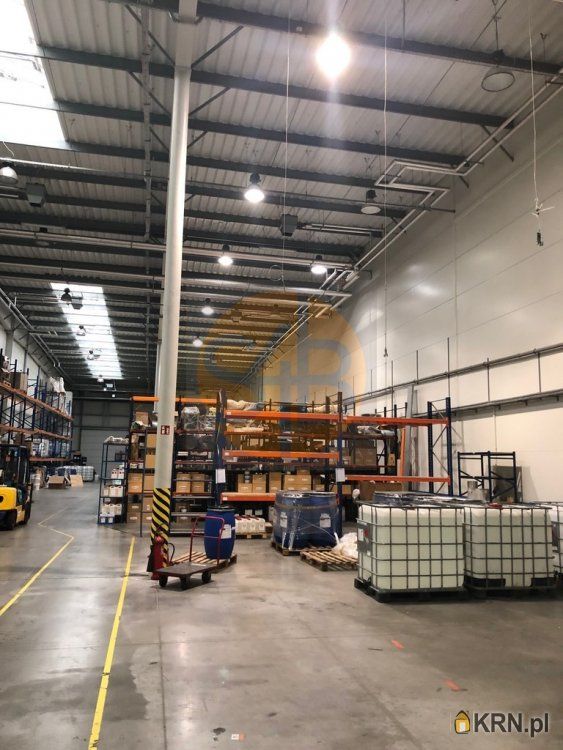 Kraków - 960.00m2 - 