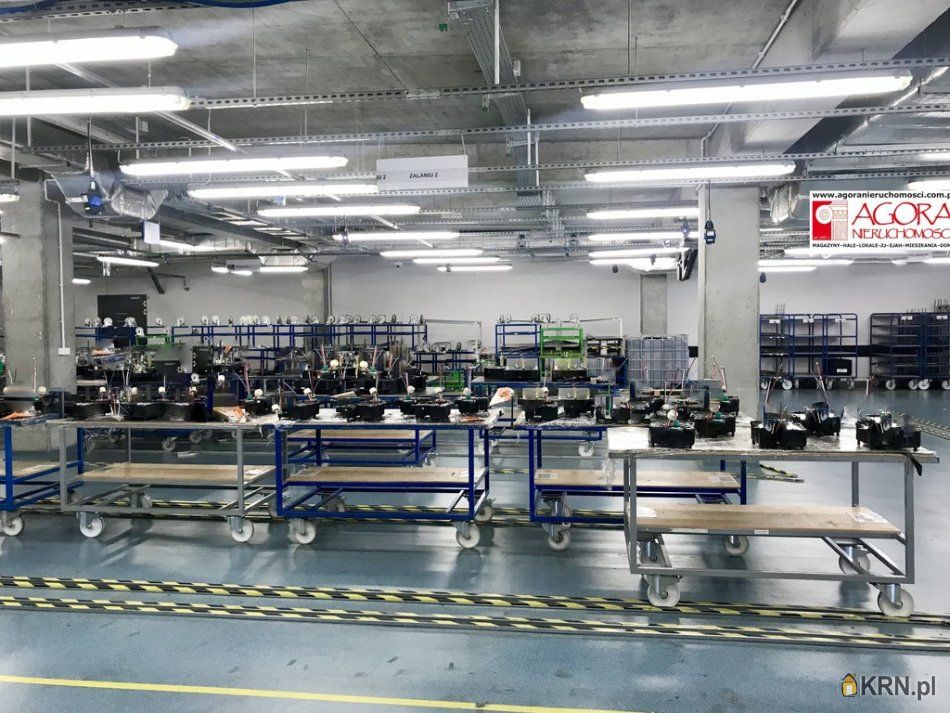 Kraków - 991.00m2 - 