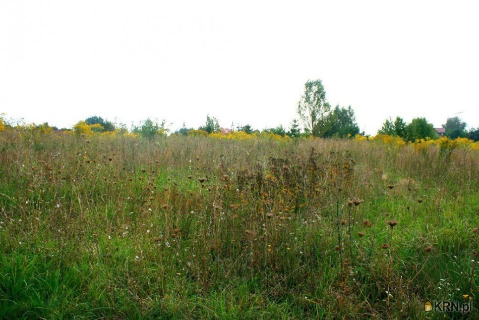 Kostrzyn - -1.00m2 - 