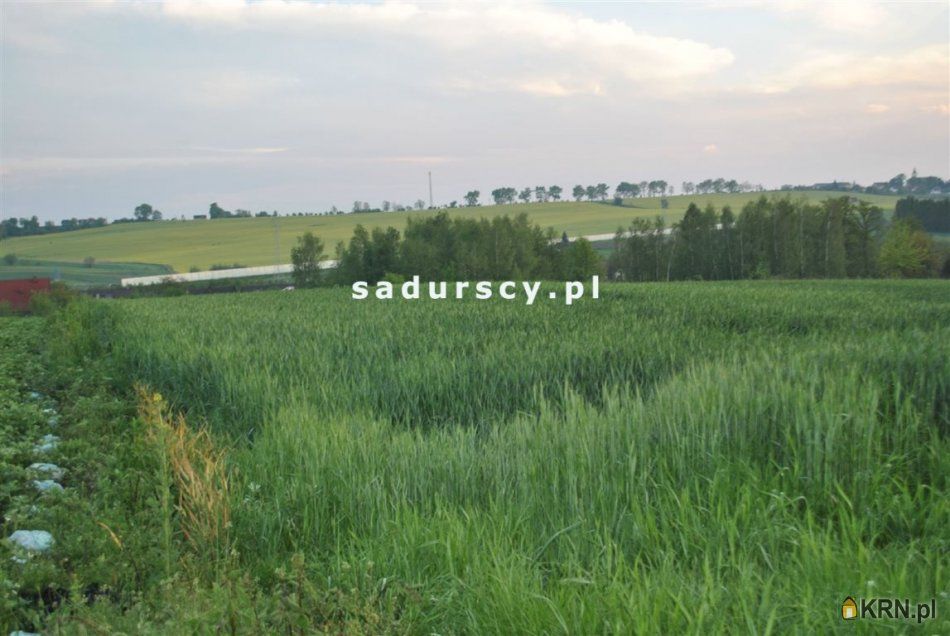 Dąbrowa - -1.00m2 - 