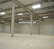 Kraków - 870.00m2