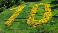 TOP 10 Most Popular Articles In 2017