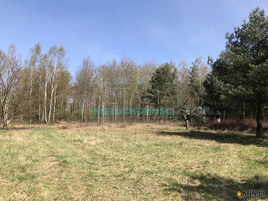 Chlebnia - -1.00m2 - 