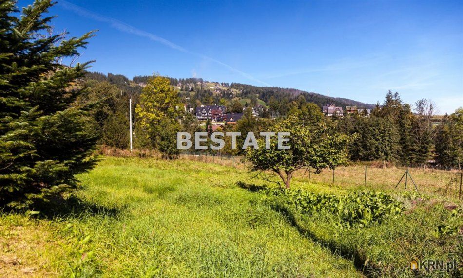 Kościelisko - -1.00m2 - 