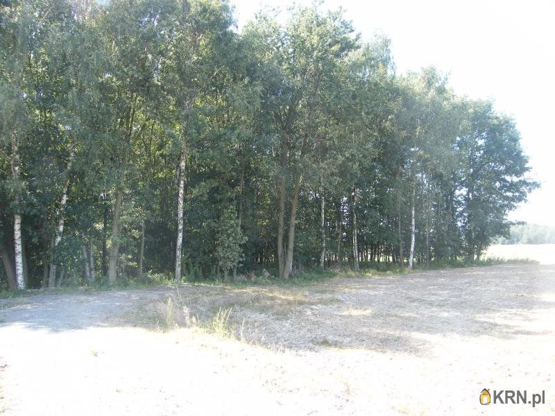 Wrocław - -1.00m2 - 