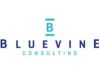 Bluevine Consulting logo