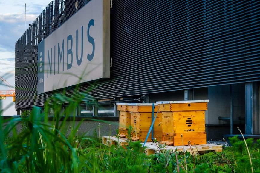  - Hives on the roof of myhive Nimbus