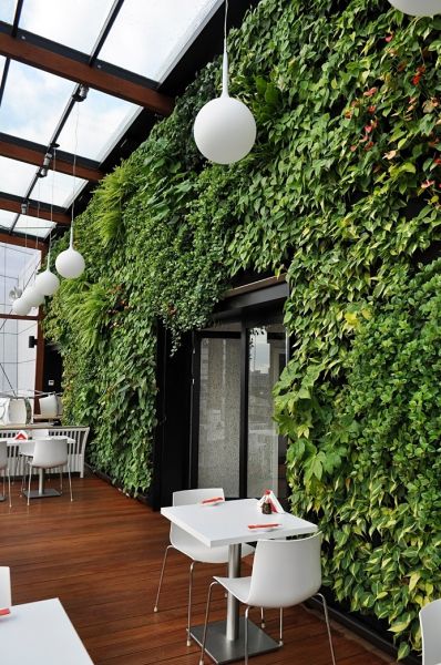  - Vertical gardens