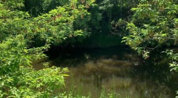 Konstancin-Jeziorna - -1.00m2