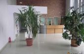 Katowice - Gliwicka, 520.00m2