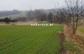 Bochnia - K. Frycza - -1.00m2