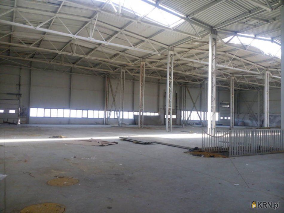 Olkusz - 6000.00m2 - 