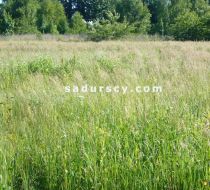 Józefosław - -1.00m2