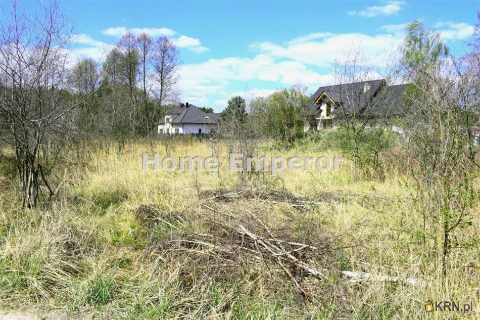 Borówiec - -1.00m2 - 