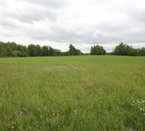 Wielka Wieś - -1.00m2