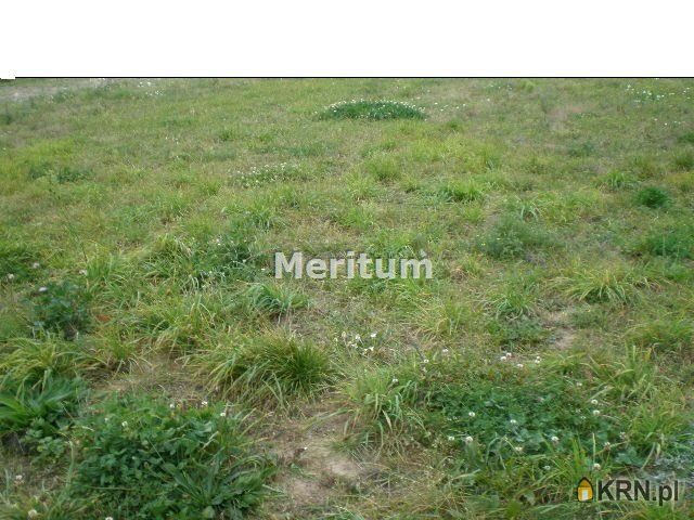 Wałdowo Królewskie - -1.00m2 - 