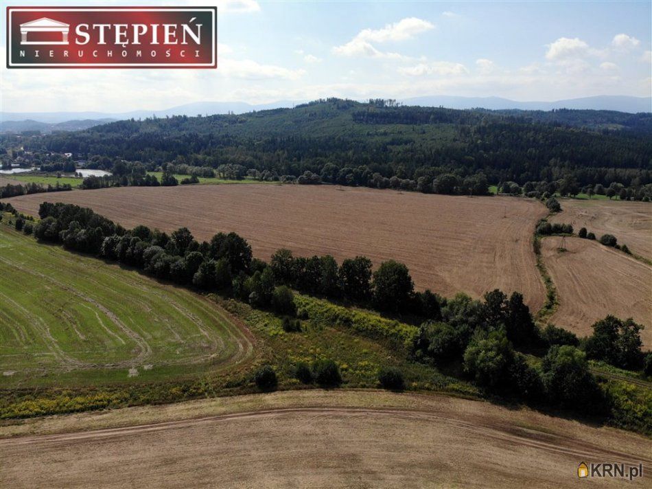 Jelenia Góra - -1.00m2 - 