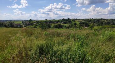 Garlica Murowana - -1.00m2