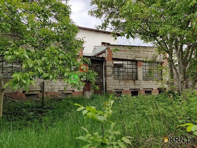 Wrocław - 1100.00m2 - 