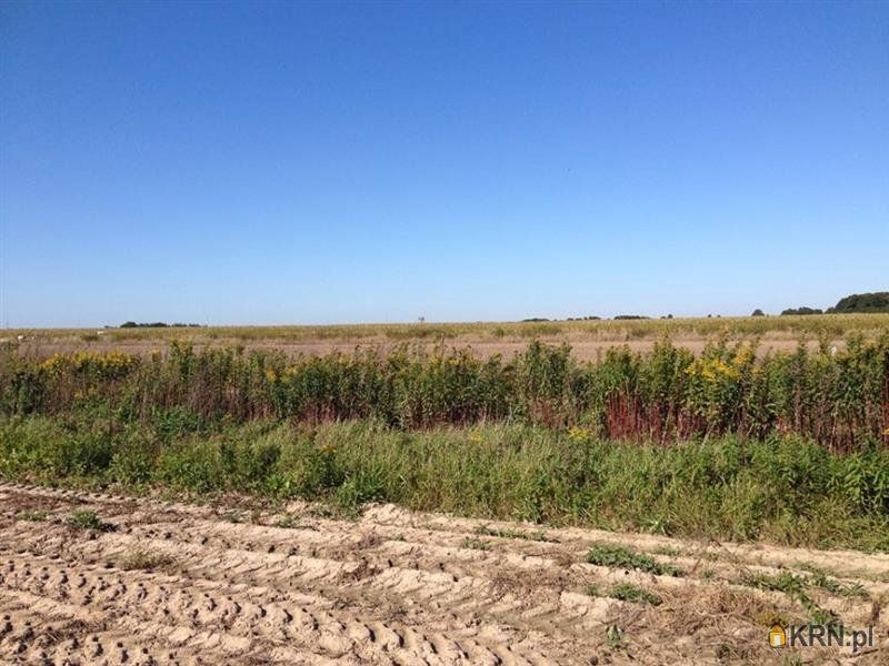 Oleśnica - Agrestowa - -1.00m2 - 