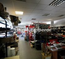 Swarzędz - 300.00m2