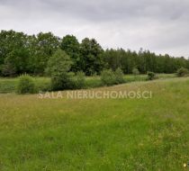 Kaczkowo - -1.00m2