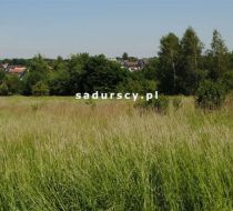 Wilczkowice - -1.00m2