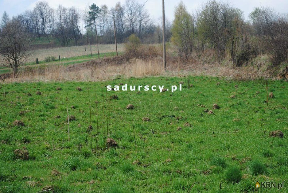 Frywałd - -1.00m2 - 