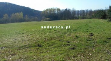 Dobczyce - Zacisze - -1.00m2