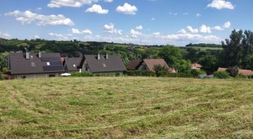 Garlica Murowana - -1.00m2