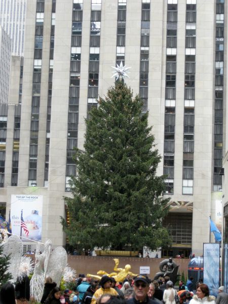  - Christmas tree is placed next to Rockefeller Center each year before Christmas, source: foter. com