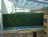 Vertical gardens