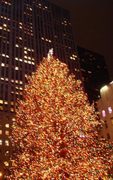  - Christmas tree next to Rockefeller center in New York