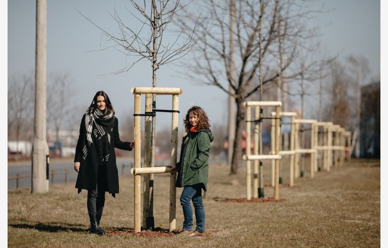 IMMOFINANZ sadzi drzewa na warszawskim Służewiu