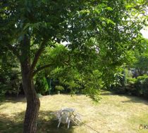 Wrocław - Januszowicka - 330.00m2