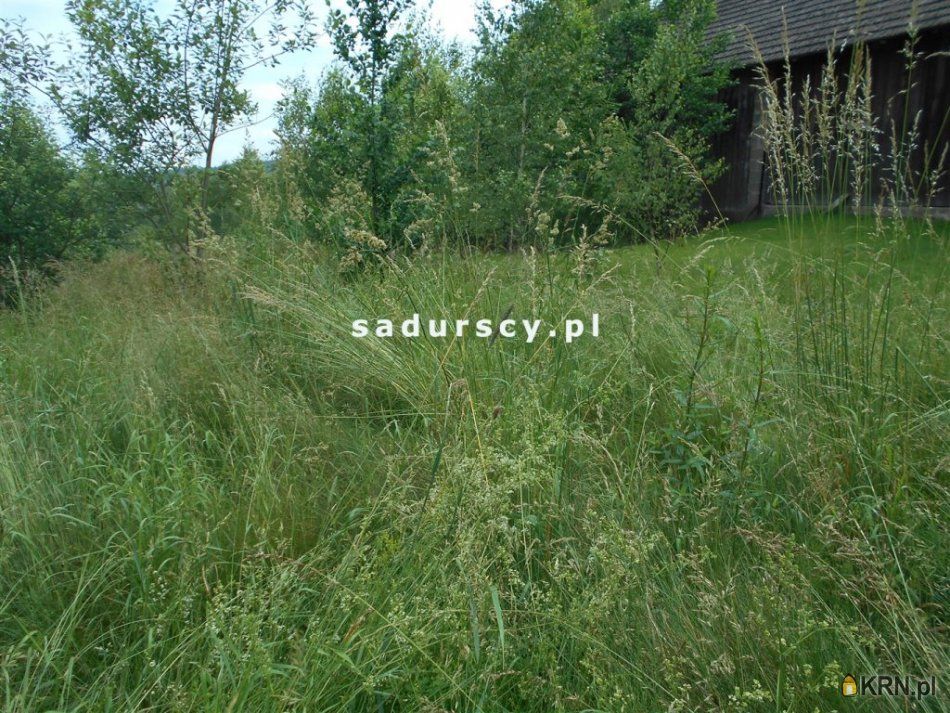 Zagórzany - -1.00m2 - 