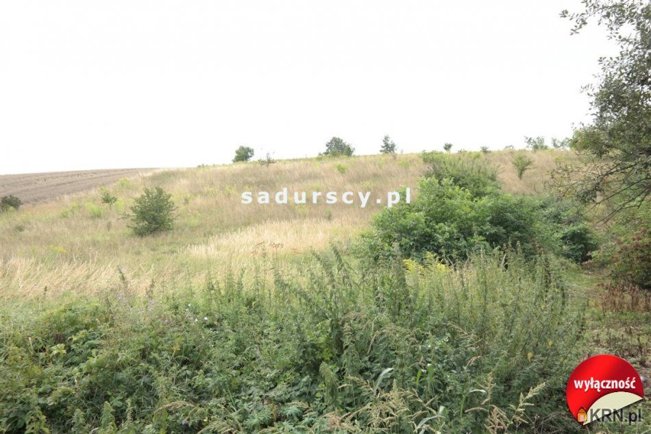 Prandocin-Iły - -1.00m2 - 