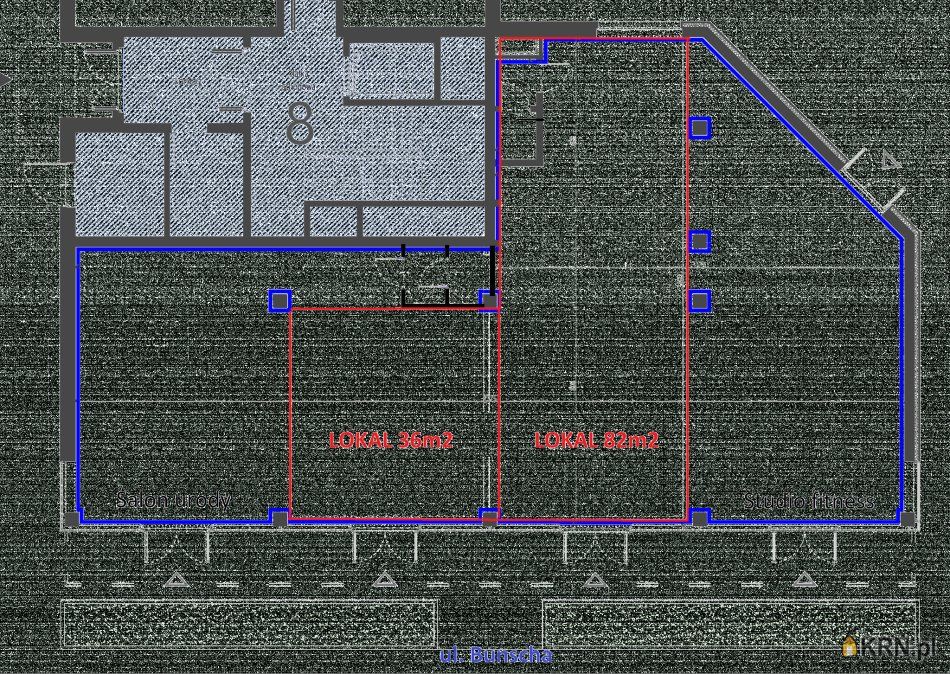 Kraków - K. Bunscha - 118.00m2 - 