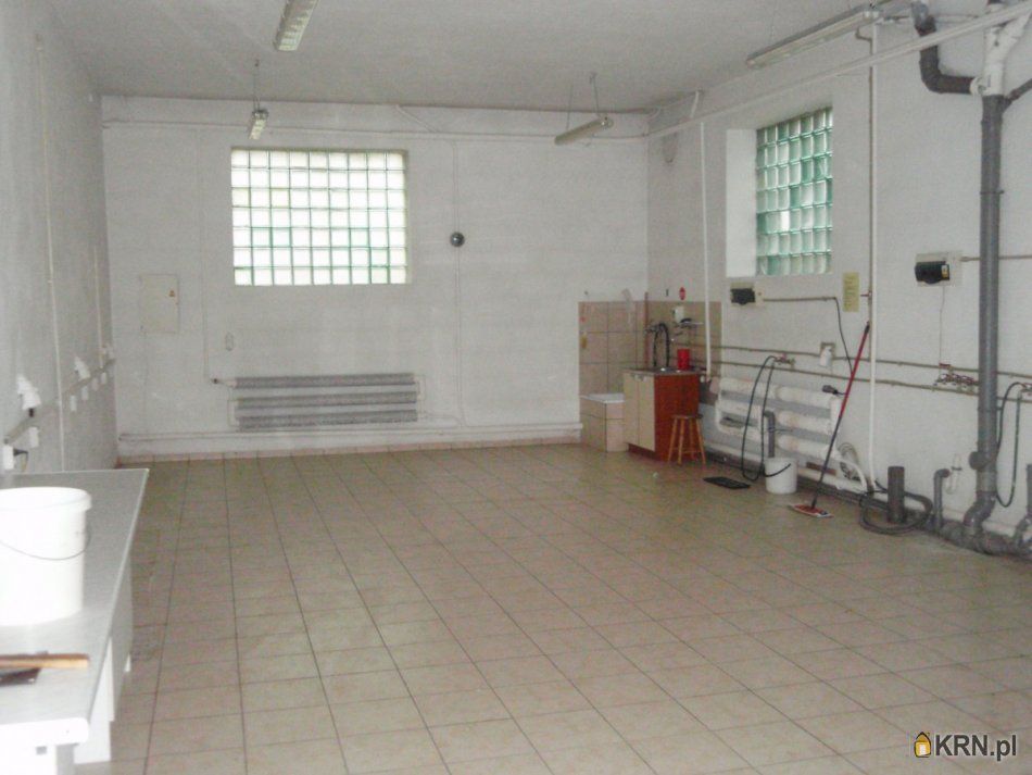 Opacz-Kolonia - 740.00m2 - 